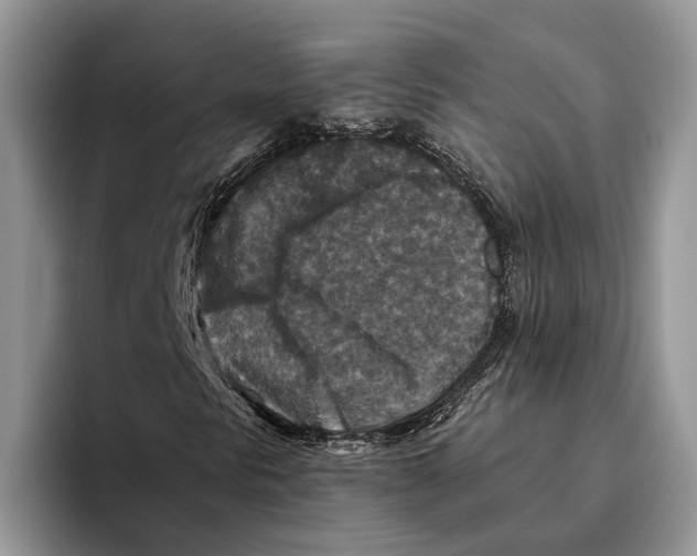 X0000093461297200711091542