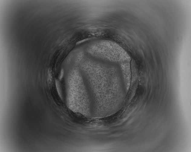 X0000093461298200711091542