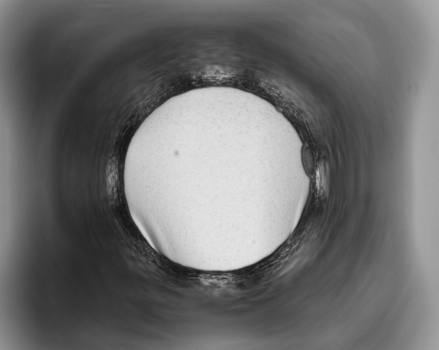 X0000093461299200711091542