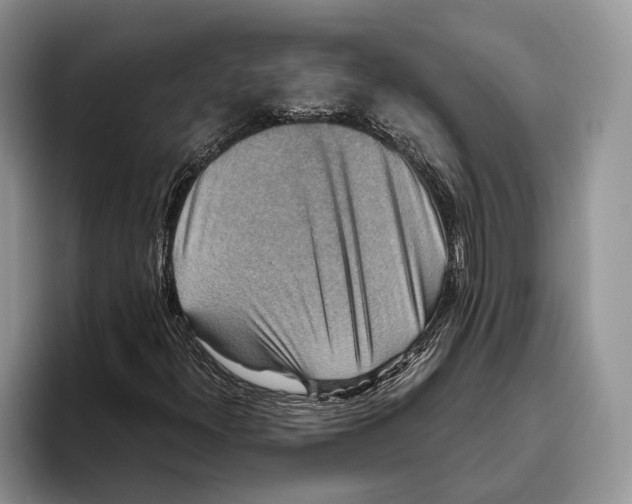 X0000093461300200711091542