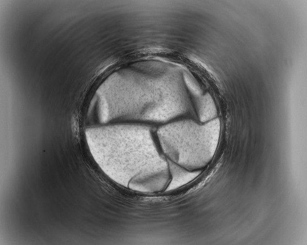 X0000093461305200711091542