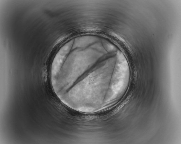 X0000093461306200711091542