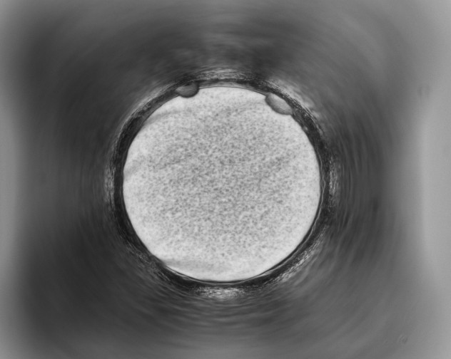 X0000093461309200711091542