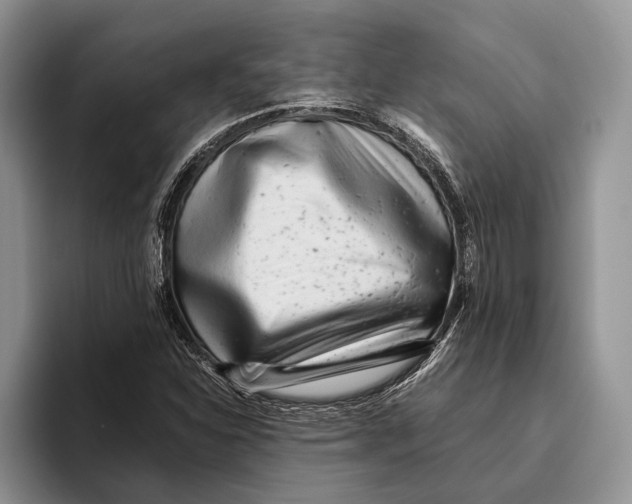 X0000093461310200711091542