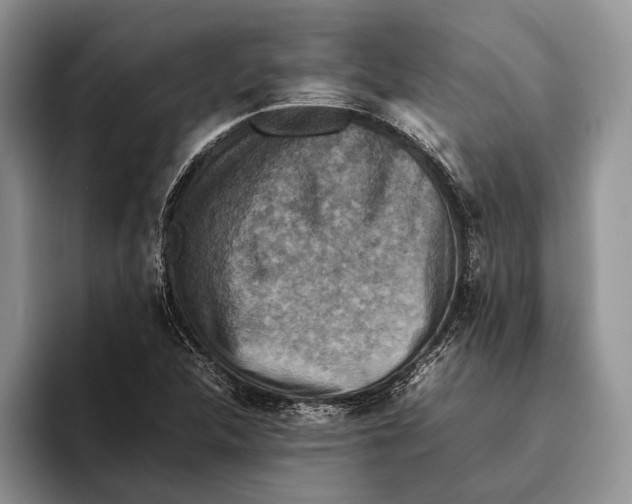 X0000093461312200711091542