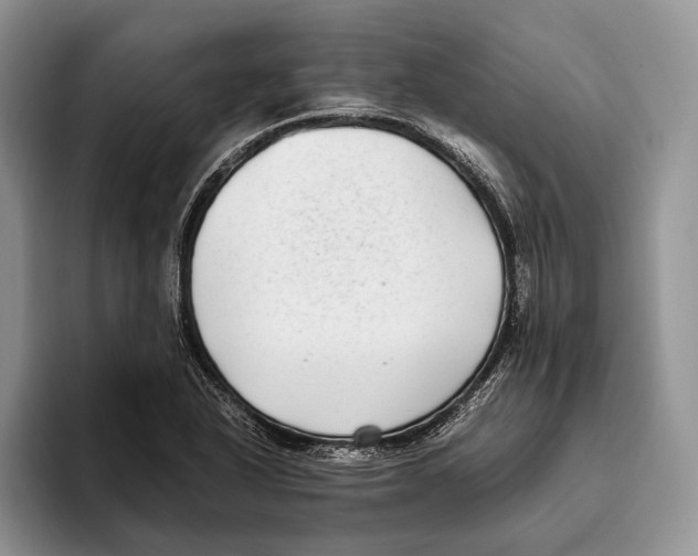 X0000093461318200711091542