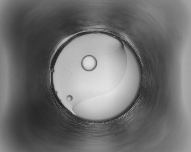 X0000093461320200711091542