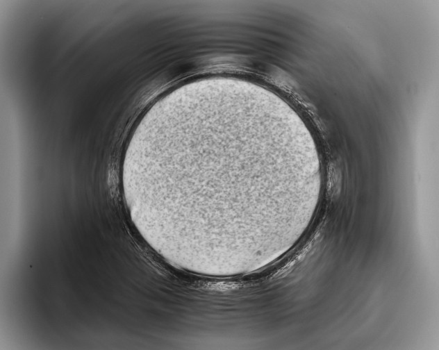 X0000093461321200711091542