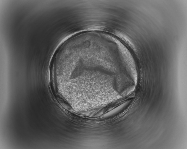 X0000093461324200711091542