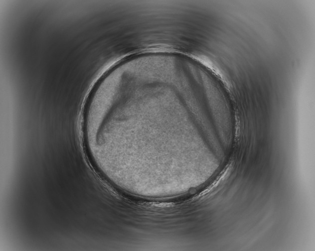 X0000093461325200711091542