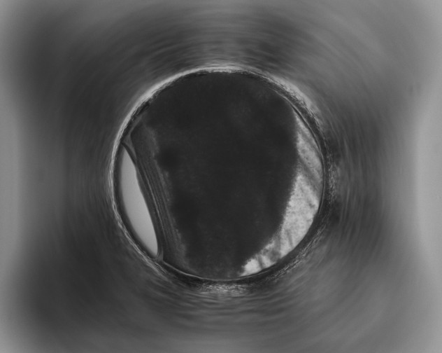 X0000093461327200711091542