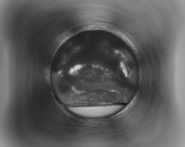 X0000093461329200711091542