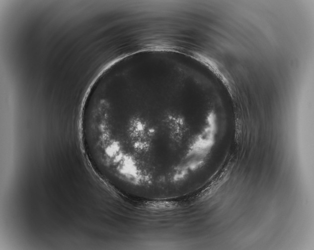 X0000093461331200711091542