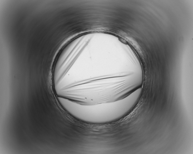 X0000093461332200711091542