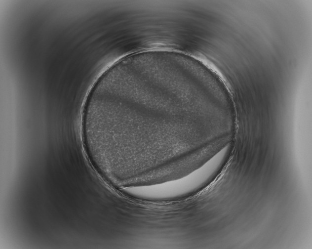X0000093461333200711091542