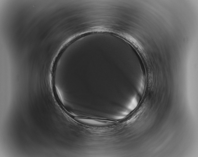 X0000093461334200711091542
