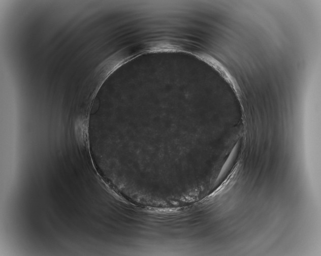 X0000093461337200711091542