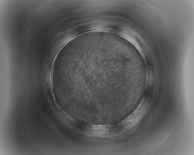 X0000093461338200711091542