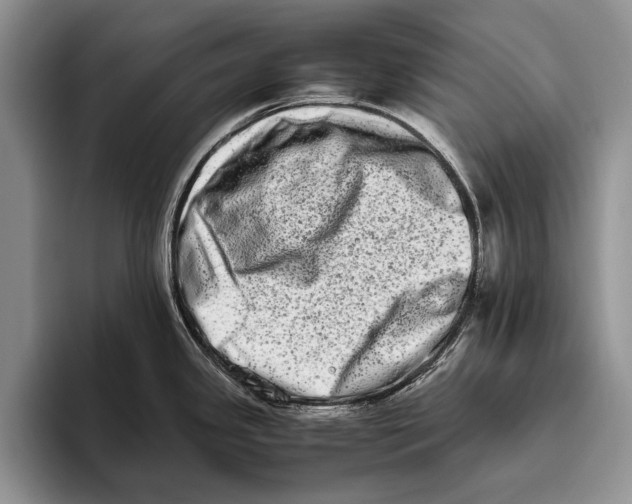 X0000093461341200711091542