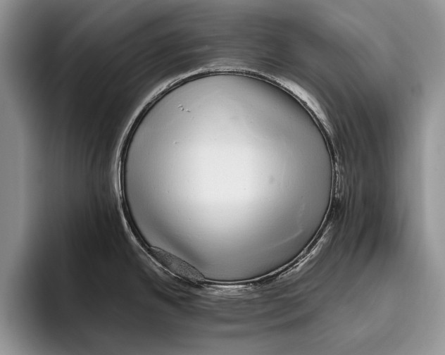 X0000093461342200711091542