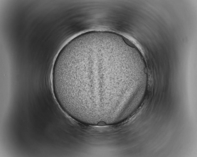 X0000093461343200711091542