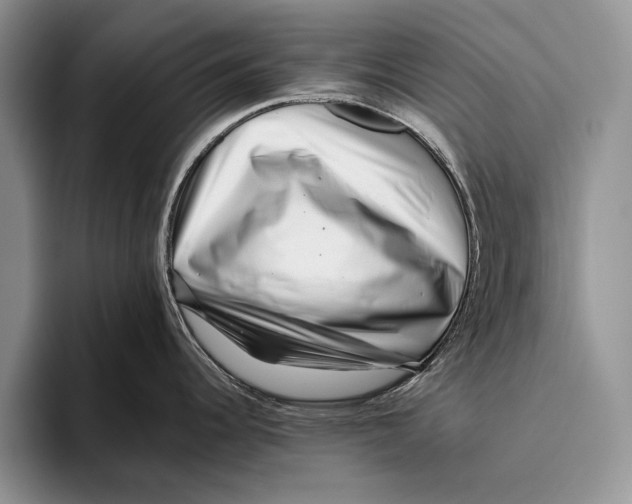 X0000093461344200711091542