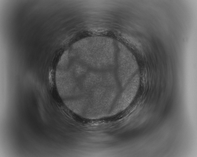 X0000093461346200711091542