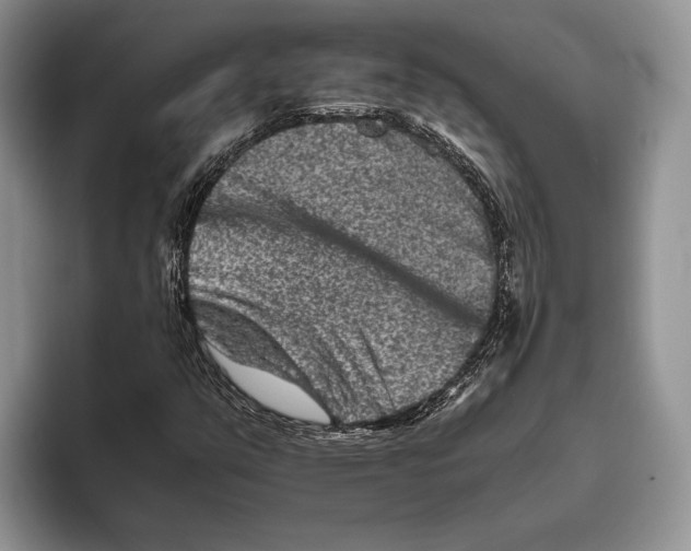 X0000093461351200711091542