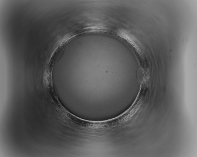 X0000093461357200711091542