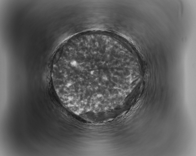 X0000093461359200711091542