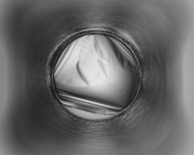 X0000093461360200711091542