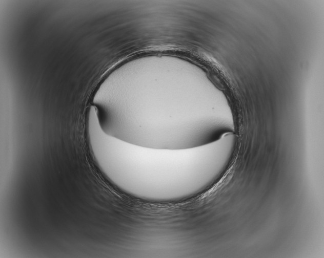 X0000093461361200711091542