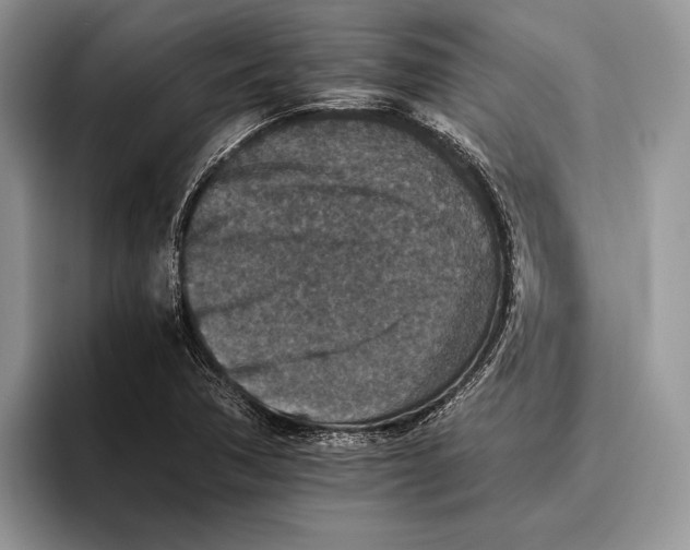 X0000093461362200711091542