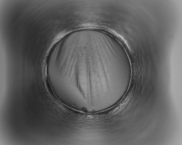 X0000093461365200711091542