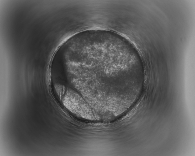 X0000093461367200711091542