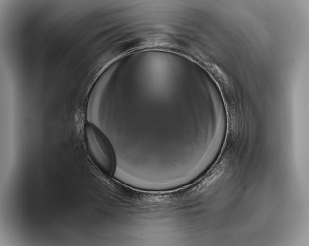 X0000093461369200711091542