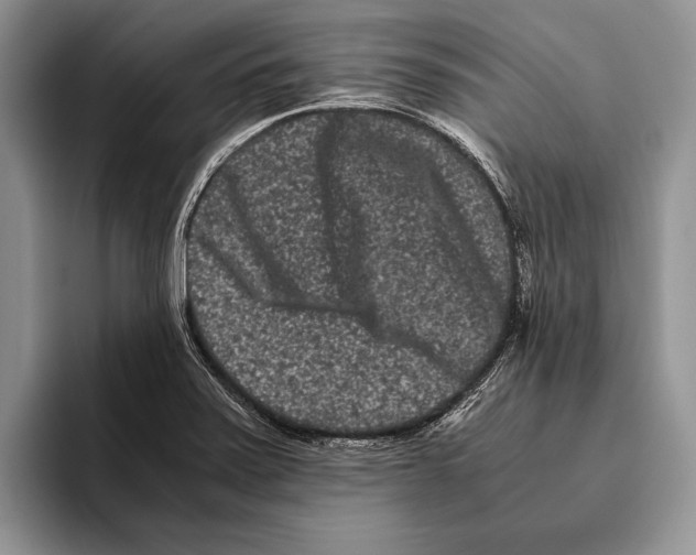 X0000093461371200711091542