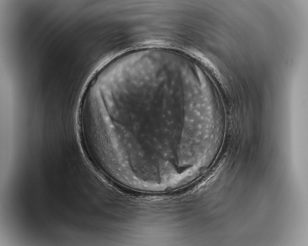 X0000093461373200711091542