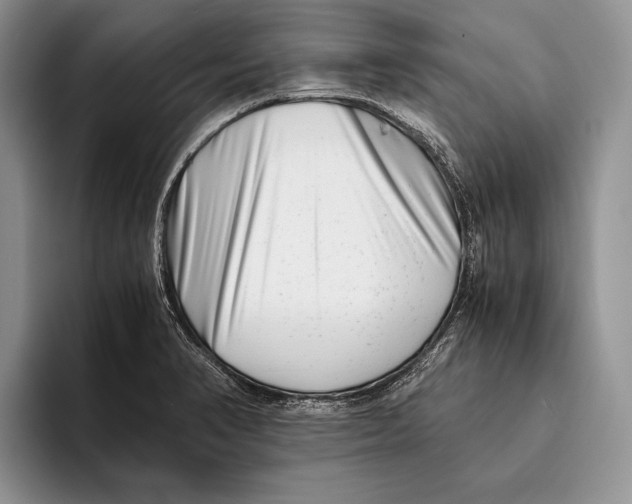 X0000093461374200711091542