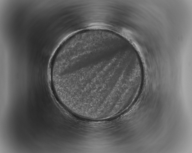 X0000093461376200711091542