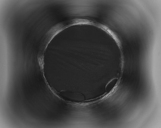 X0000093461377200711091542
