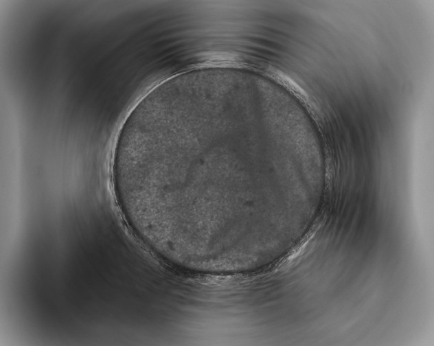 X0000093461378200711091542