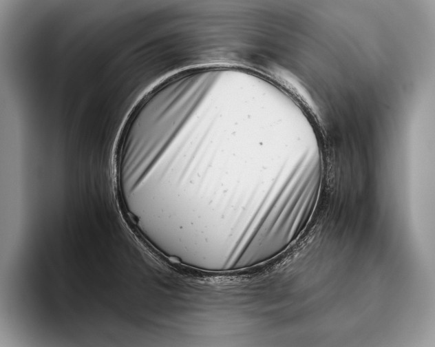 X0000093461380200711091542