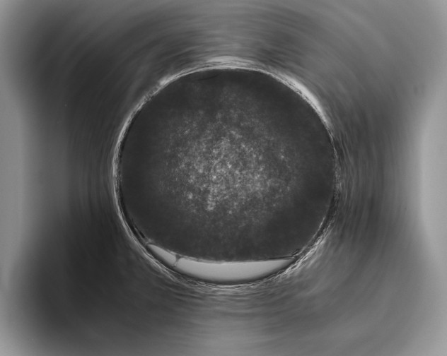X0000093461381200711091542