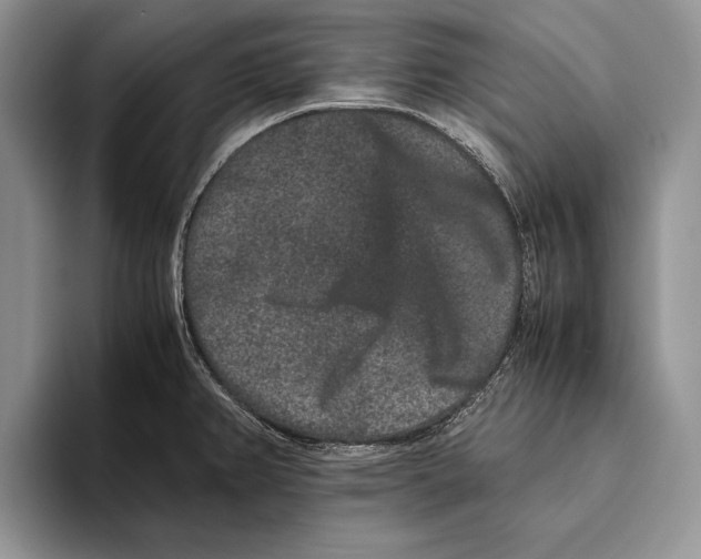 X0000093461382200711091541