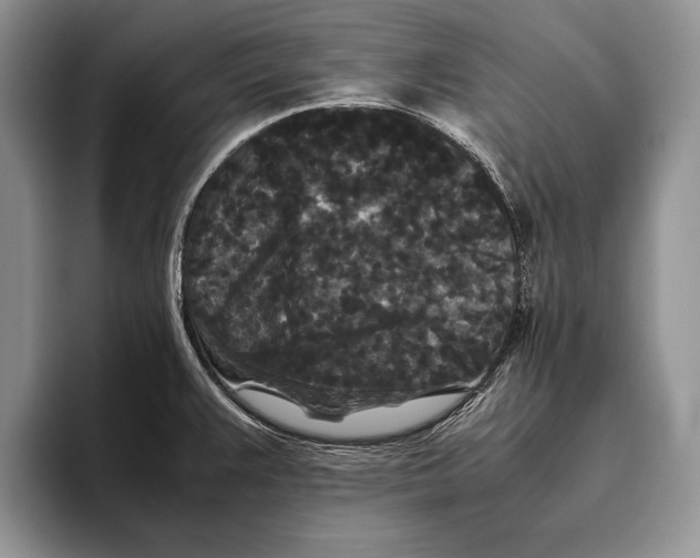 X0000093461383200711091541