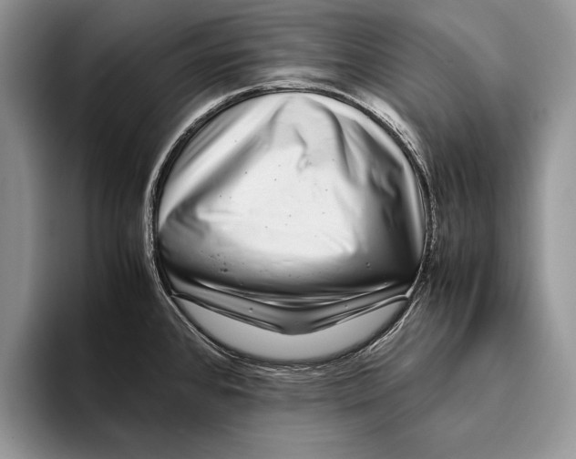 X0000093461384200711091541