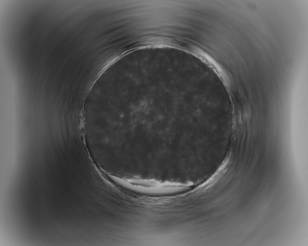 X0000093461385200711091541