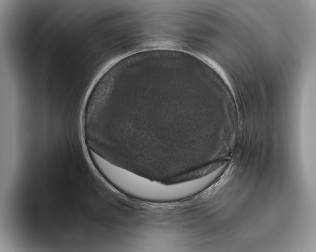 X0000093461389200711091541