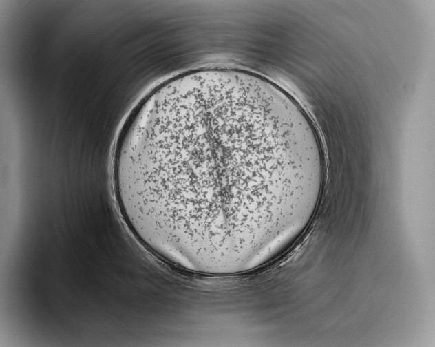 X0000093461392200711091541